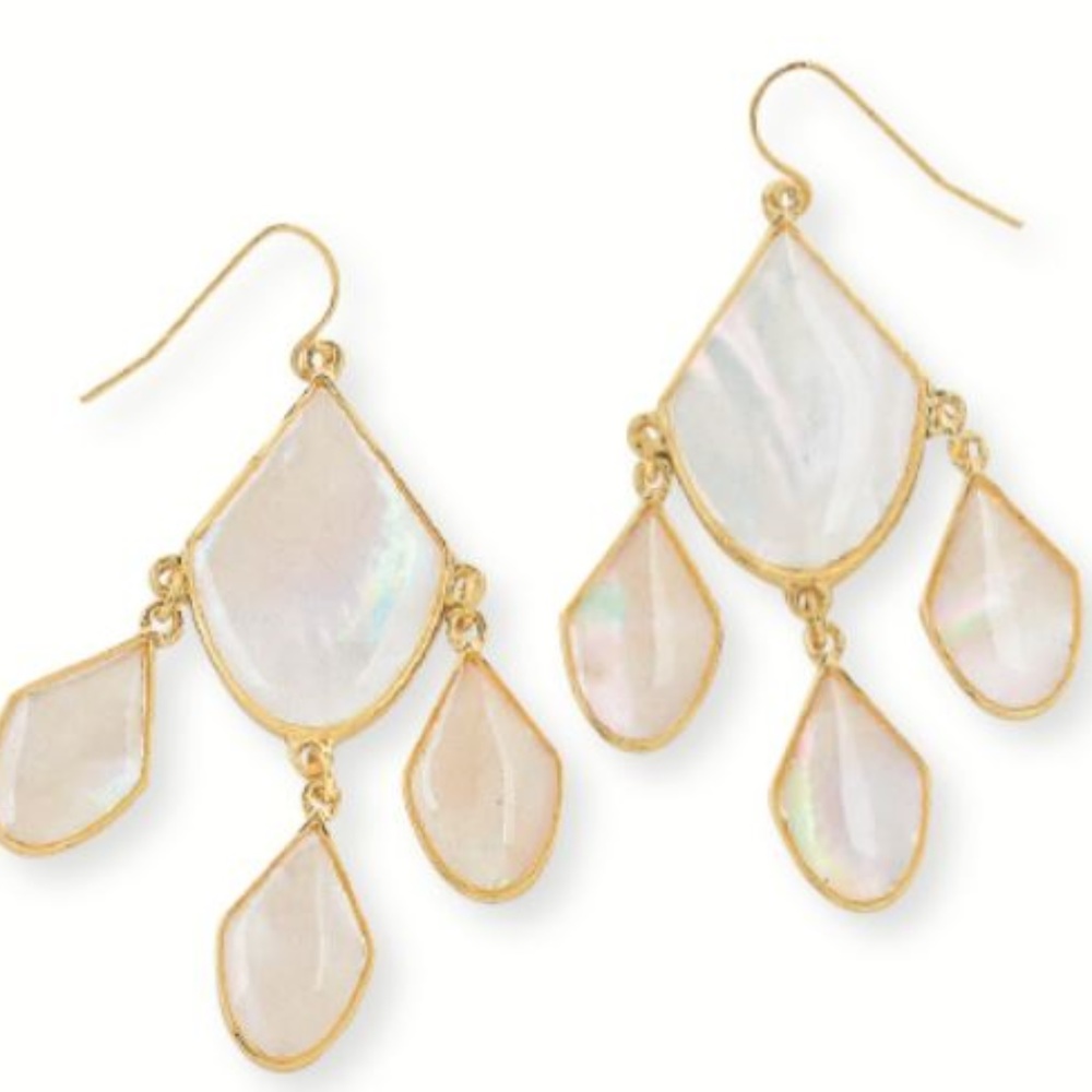 Premier Designs Luna Earrings